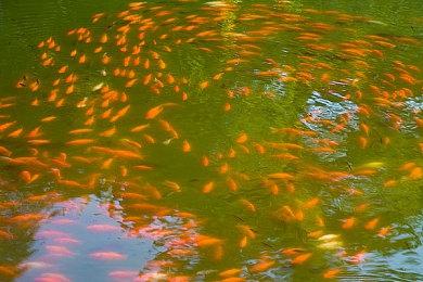 贝克汉姆亮相《EA Sports FC 24》游戏预告